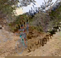 Mount Lofty Descent Bike Tour from Adelaide - Hotel WA