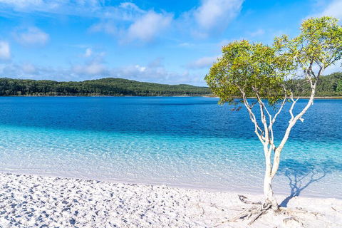Lake McKenzie Full-Day Tour With Lunch From Hervey Bay - Hotel WA 1