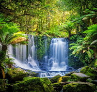 Day Tour in Mt. Field Mt. Wellington Bonorong Wildlife Sanctuary and Richmond - Hotel WA
