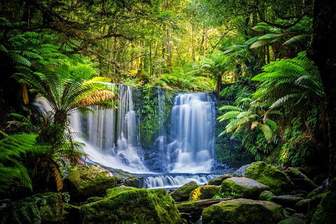 Day Tour In Mt. Field, Mt. Wellington, Bonorong Wildlife Sanctuary And Richmond - Hotel WA 0