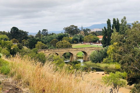 Day Tour In Mt. Field, Mt. Wellington, Bonorong Wildlife Sanctuary And Richmond - Hotel WA 3