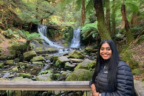 Day Tour In Mt. Field, Mt. Wellington, Bonorong Wildlife Sanctuary And Richmond - Hotel WA 5