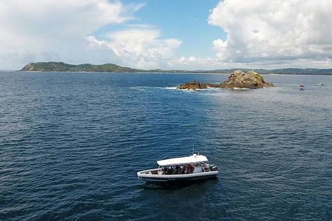 Julian Rocks Byron Bay Cruise - Hotel WA 5