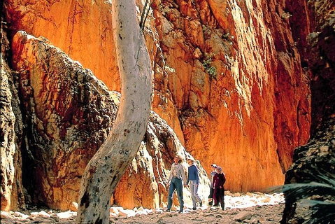 West MacDonnell Ranges Day Trip From Alice Springs - Hotel WA 3