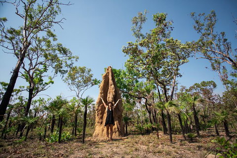 Litchfield National Park - Top End Day Tour From Darwin - Hotel WA 5