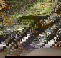 Adelaide Highlights Hahndorf  McLaren Vale Wine Tasting and Sightseeing Tour - Hotel WA