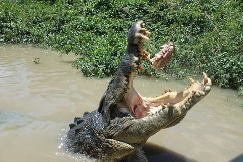 Litchfield And Jumping Crocodiles Full Day Trip From Darwin - Hotel WA 3