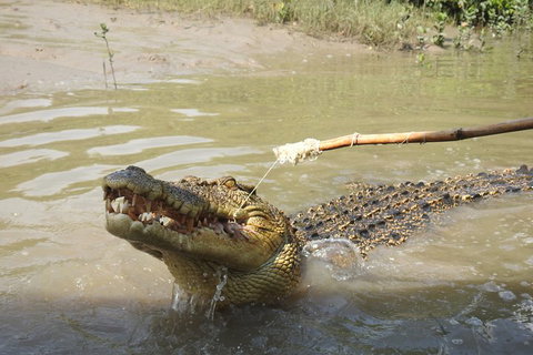 Litchfield And Jumping Crocodiles Full Day Trip From Darwin - Hotel WA 4
