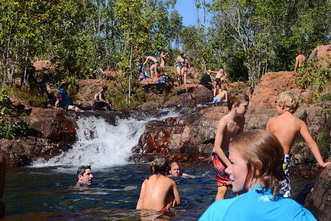 Litchfield And Jumping Crocodiles Full Day Trip From Darwin - Hotel WA 5