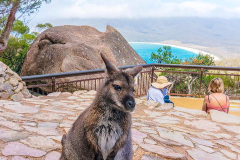 Wineglass Bay & Freycinet NP Full Day Tour From Hobart Via Richmond Village - Hotel WA 0