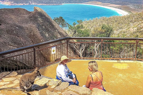 Wineglass Bay & Freycinet NP Full Day Tour From Hobart Via Richmond Village - Hotel WA 1