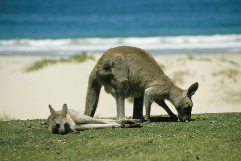 Great Ocean Road Highlights Tour - 2 Days, 1 Night - Hotel WA 2
