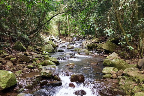 Exclusive Private Tour - Design Your Own - Hotel WA 1