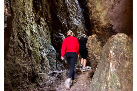 Exclusive Private Tour - Design Your Own - Hotel WA 4