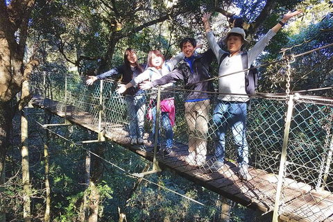 Exclusive Private Tour - Design Your Own - Hotel WA 5