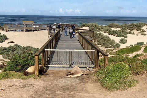 Kangaroo Island 4WD Tour - Best Of KI - Hotel WA 2