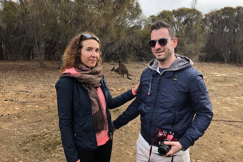 Kangaroo Island 4WD Tour - Best Of KI - Hotel WA 3
