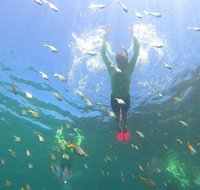 Manly Snorkel Trip and Nature Walk with Local Guide - Hotel WA