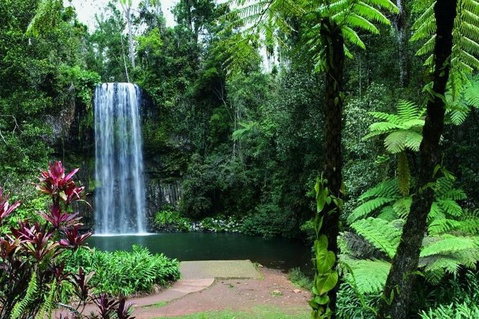 Paronella Park And Millaa Millaa Falls Full-day Tour From Cairns - Hotel WA 3
