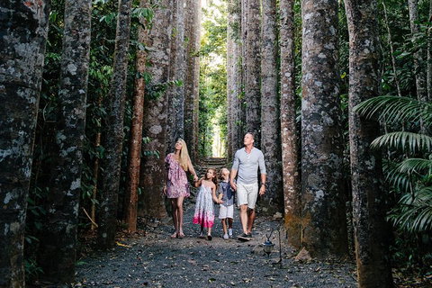 Paronella Park And Millaa Millaa Falls Full-day Tour From Cairns - Hotel WA 5