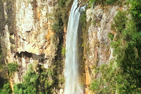 Natural Arch, Rainforest & Volcano Canyon - Private Half Day Tour - Hotel WA 2