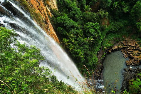 Natural Arch, Rainforest & Volcano Canyon - Private Half Day Tour - Hotel WA 5