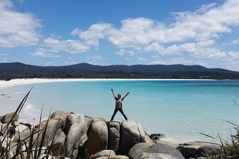 Tasmania 4 Day East Coast + Launceston - Hotel WA 1