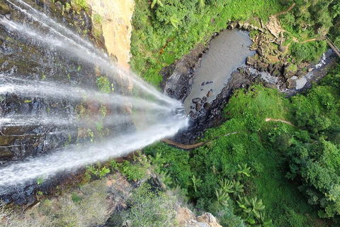 Natural Bridge & Springbrook Waterfalls Tour + Hot Air Balloon With Breakfast - Hotel WA 1