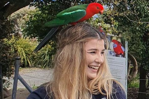 Lamington National Park, O'Reilly's & Vineyard Tour - Hotel WA 0