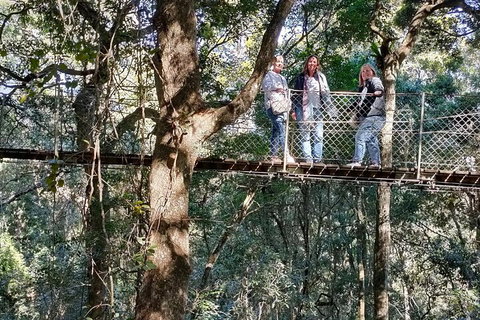 Lamington National Park, O'Reilly's & Vineyard Tour - Hotel WA 2