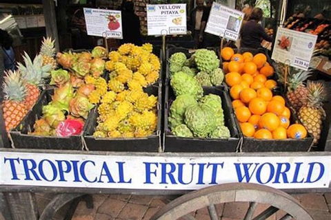 Northern Rivers Full Day Wine Tour - Hotel WA 3