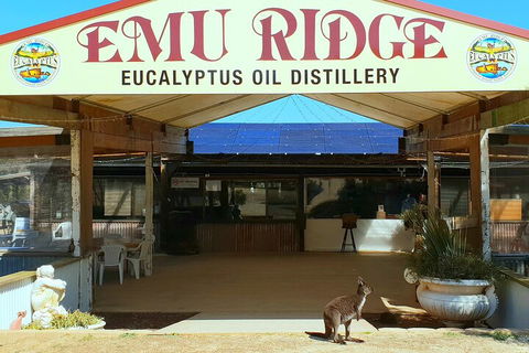 2-Day Kangaroo Island Safari From Adelaide - Hotel WA 4