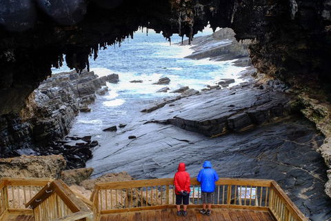 2-Day Kangaroo Island Safari From Adelaide - Hotel WA 5