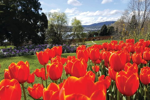 Hobart Half-Day Sightseeing Coach Tram Tour - Hotel WA 4