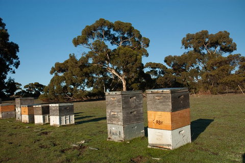 Fine Flavours - Full Day Kangaroo Island Food & Wine Tour - Hotel WA 1