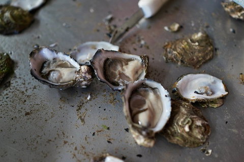 Fine Flavours - Full Day Kangaroo Island Food & Wine Tour - Hotel WA 2