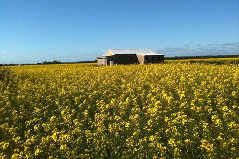 Fine Flavours - Full Day Kangaroo Island Food & Wine Tour - Hotel WA 3