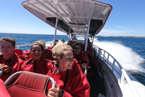 Adventure Rottnest Tour With Ferry & Adventure Cruise From Perth Or Fremantle - Hotel WA 0