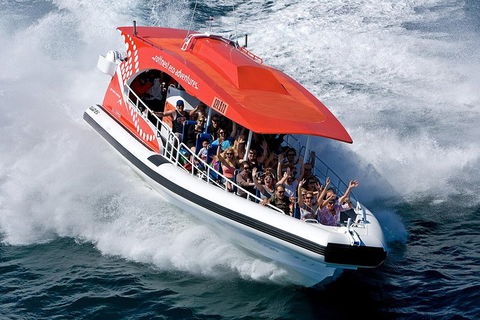 Adventure Rottnest Tour With Ferry & Adventure Cruise From Perth Or Fremantle - Hotel WA 2