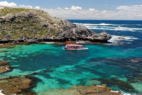Adventure Rottnest Tour With Ferry & Adventure Cruise From Perth Or Fremantle - Hotel WA 5