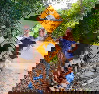 Cape Tribulation Daintree Rainforest and Wildlife Tour - Hotel WA