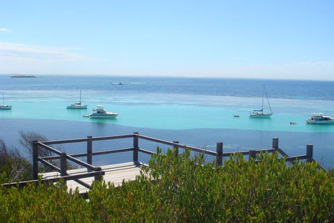 Rottnest Bayseeker Bus Tour From Hillarys Boat Harbour - Hotel WA 3
