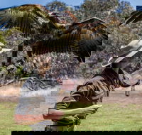 One Day Kangaroo Island Sip  See tour with return ferry transfers from Adelaide - Hotel WA