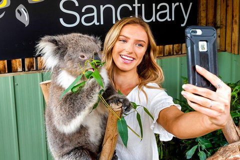 Moonlit Sanctuary Wildlife Conservation Park Daytime General Entry Ticket - Hotel WA 4