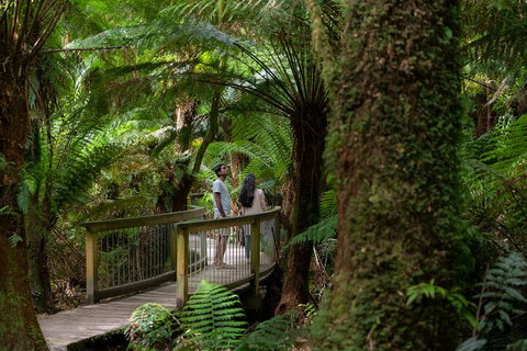 Great Ocean Road To Grampians 2 Day 1 Night Tour From Melbourne To Adelaide - Hotel WA 0