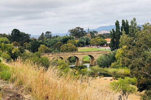 Day Tour In Mt. Field, Mt. Wellington, Bonorong Wildlife Sanctuary And Richmond - Hotel WA 3