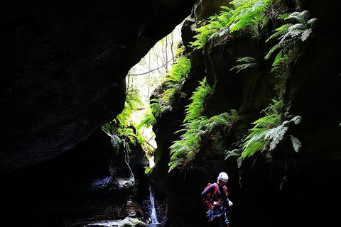Full-Day Canyoning Experience At Stunning Empress Canyon - Hotel WA 2