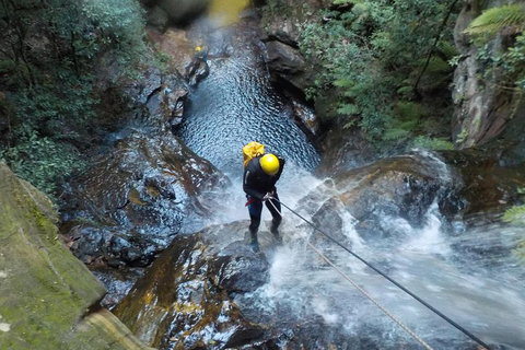 Full-Day Canyoning Experience At Stunning Empress Canyon - Hotel WA 4
