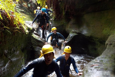 Full-Day Canyoning Experience At Stunning Empress Canyon - Hotel WA 5