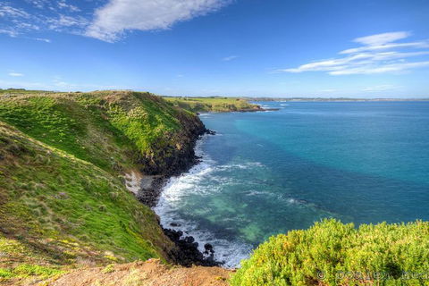 Phillip Island Penguin And Koala Highlights Day-Trip From Melbourne - Hotel WA 5